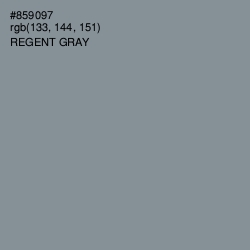 #859097 - Regent Gray Color Image
